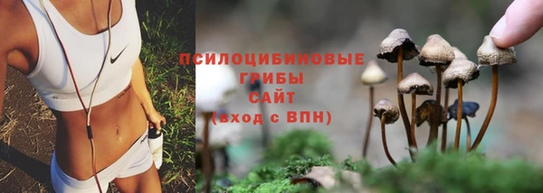 трава Аркадак