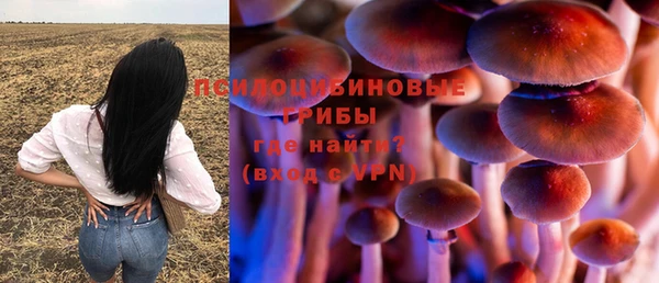 трава Аркадак